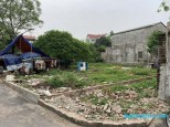 đồng mai Biên Giang