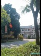 179 Trâu Quỳ