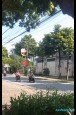 179 Trâu Quỳ