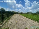Hóc Hưu Quy Đức