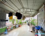 Hoàng Hoa Thám Liễu Giai