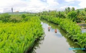 Hoàng Sa Tịnh Khê