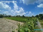 Hóc Hưu Quy Đức