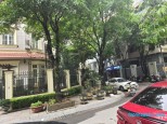 Trần Thái Tông Dịch Vọng