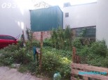 Xuân Đỗ Cự Khối