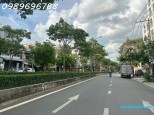 Nguyễn Oanh 17