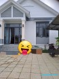 Rừng Sác Bình Khánh