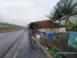 Phúc Lợi Phúc Lợi