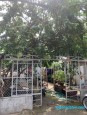 Tân Thới Hiệp 2 Tân Thới Nhất