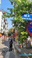 Bán nhà lô góc 3 mặt ngõ - Tứ Liên, Tây Hồ - Giá chỉ 6.4 tỷ