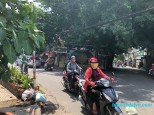 Số 8 11