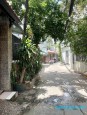 Đông hồ 8