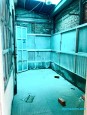 Quốc lộ 1A Tân Thới Nhất