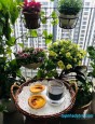 thạch bàn thạch bàn