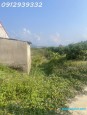  Hồng Giang