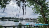 Ngọc Lâm Ngọc Lâm