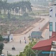 Trâu Quỳ Trâu Quỳ