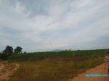  Ia Piơr