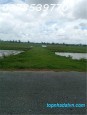 MẶT ĐƯỜNG THÁI BÌNH - CỒN VÀNH 7000M ĐẤT TMDV.
Quang Minh - Kiến Xương 7000m Đất TMDV   mặt tiền