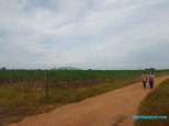 Bất Động Sản Nông Nghiệp - BĐS Tạo  Dòng Tiền Luôn Trên Đất