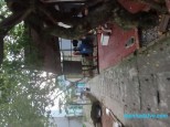 Đồng Dương Đồng Mai