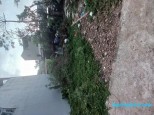 Đồng Dương Đồng Mai