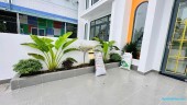 Đinh Đức Thiện Bình Chánh