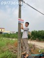 52 Nam Mỹ