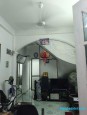 Hoàng Hoa Thám Trúc Bạch