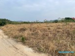  Hồng Giang