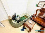 Võng Thị Thụy Khuê