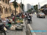 Rất Hiếm. Bán đất có Sổ Đỏ phố Sa Đôi, Nam Từ Liêm. Diện tích 100m2, mặt tiền 4.1m