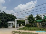 Ngô Xuân Quảng Trâu Quỳ