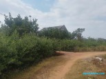 31 Trù Hựu
