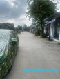 Thạnh Xuân 25 Thạnh Xuân