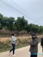 31 Kiên Thành