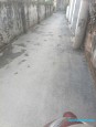 Đường Miêu Nha, Tây Mỗ