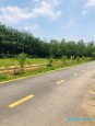  Bến Cát, Bình Dương 