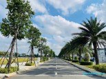 Bán đất nền F0 CĐT- Dự án liền kề Ecopark Long An và các dự án lớn.