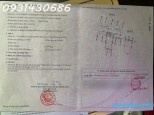 1 Bình Hưng Hòa A