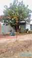 BÁN GẤP giá đầu tư chỉ 25 triệu/m2 MẶT TIỀN ĐƯỜNG ỐNG NƯỚC, TÂN BÌNH – DĨ AN – 150m² Đường 1, Tân Bình