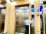 Đường Tôn Đức Thắng, Cát Linh