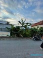 Đường 10, Minh Đức