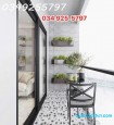 Đường Kim Đồng, Hợp Giang