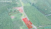 CẦN BÁN ĐẤT LỘC NGÃI – BẢO LỘC, LÂM ĐỒNG mkt49