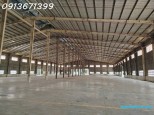 ???? Cho Thuê Xưởng 4.200m² Có PCCC, Trạm Điện 560KVA – Tân Uyên, Bình Dương