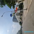 Đường Nguyễn Mậu Tài, Trâu Quỳ