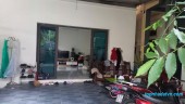 Bán nhà cấp 4 tại Cổ Loa, Đông Anh – Diện tích 148m², 3PN, giá chỉ 48 triệu/m²