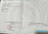 Đường Ngô Gia Tự, Đằng Lâm
