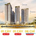 The Sapphire – Newtown Diamond diện tích 82,33 m² T11 Căn hộ 2 PN View nội khu + sông Cổ Cò giá Đường An Nông, Hòa Hải